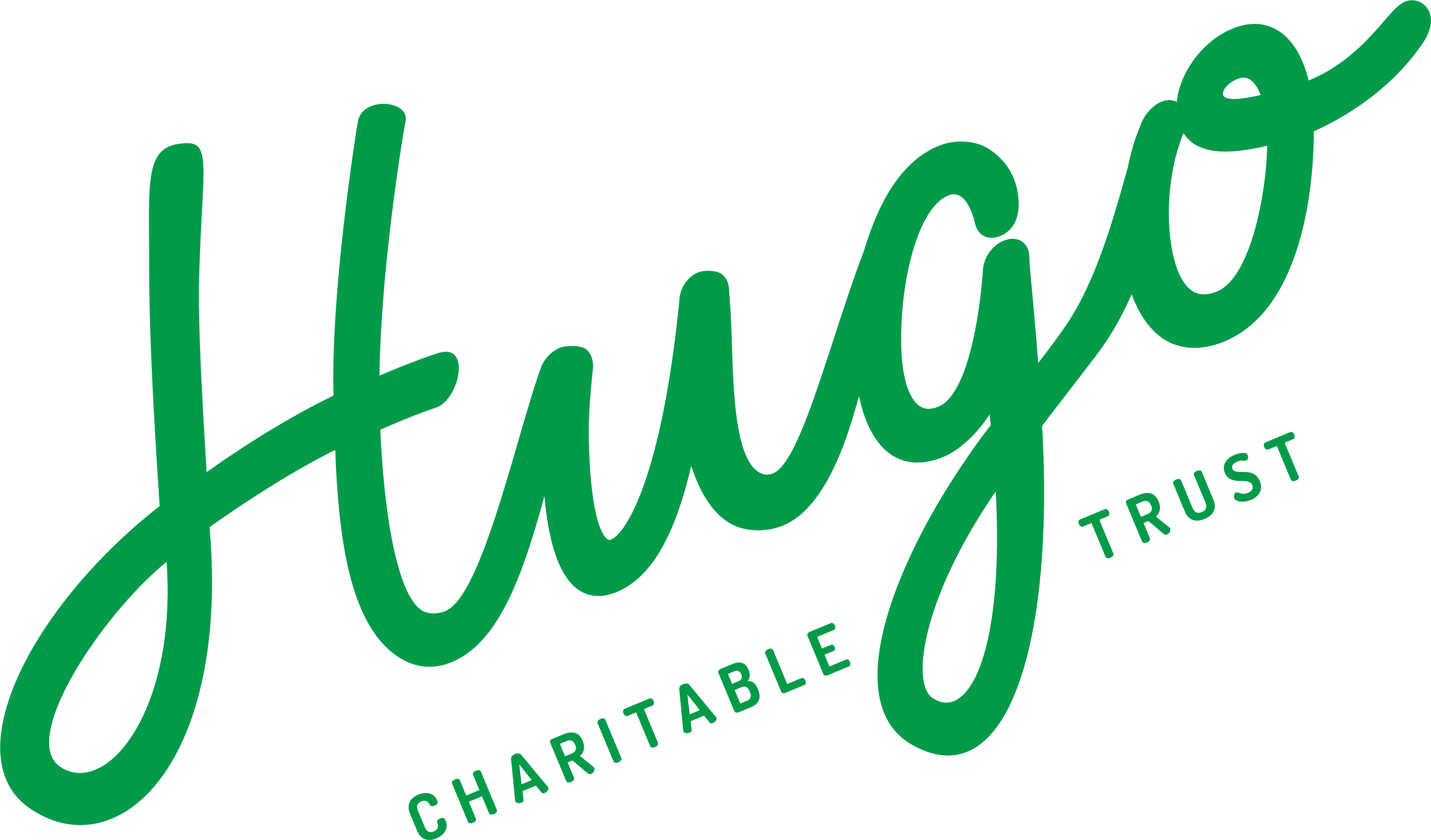 hugo-charitable-trust-rgb009A49