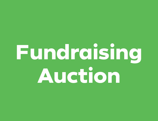 Western Bay of Plenty Auction