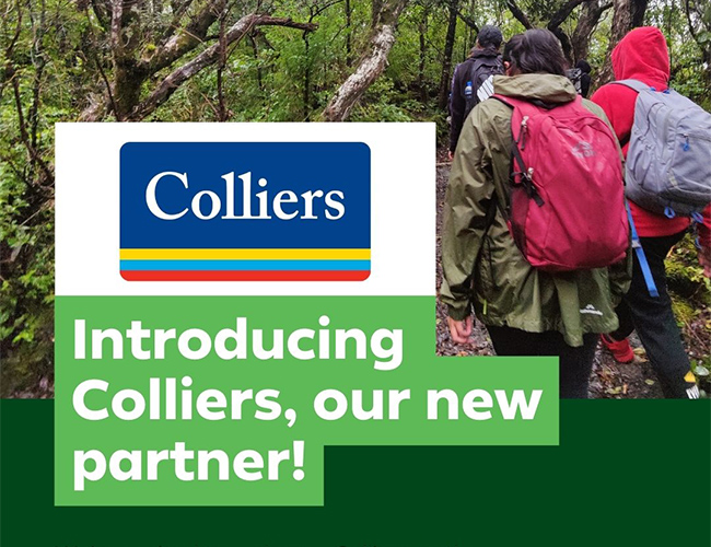 Graeme Dingle Foundation Partners with Colliers