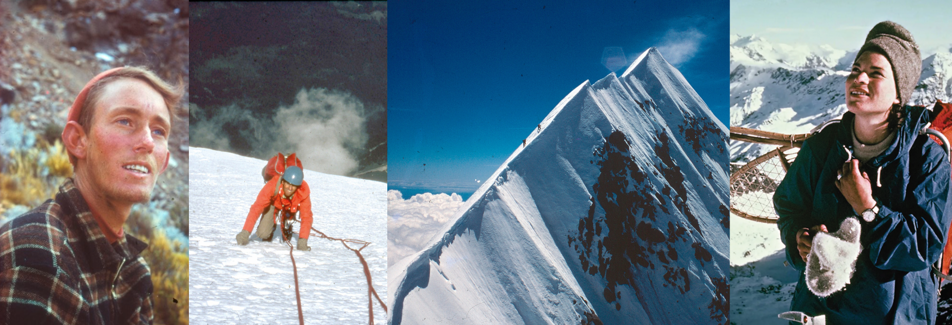 From the archive Series Banner Website v3