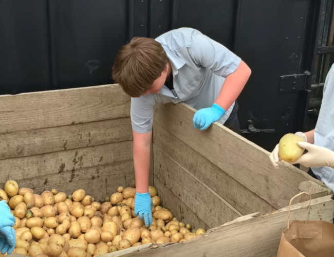 Community Projects Across Our Regions 650×500