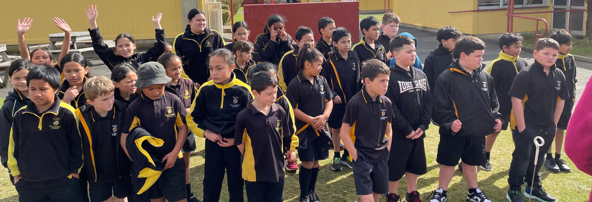 Ways to Support us Waikato